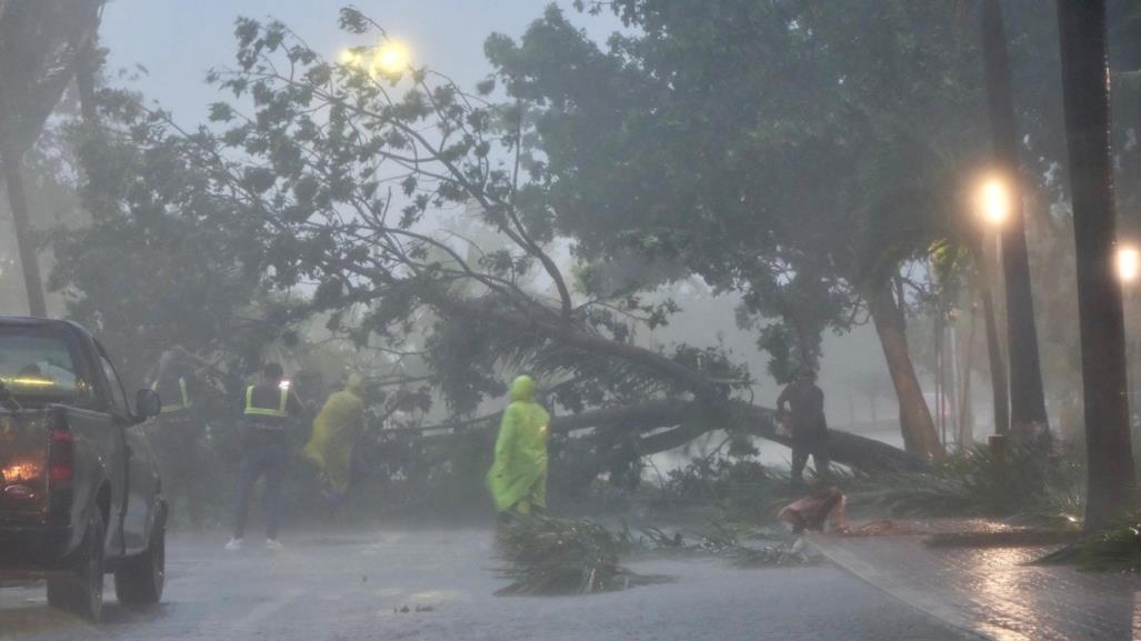 Árboles caídos y  calles inundadas tras el paso de Helene por Cancún