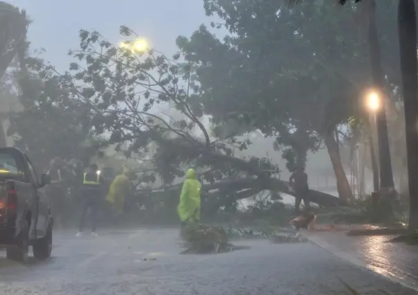 Árboles caídos y  calles inundadas tras el paso de Helene por Cancún