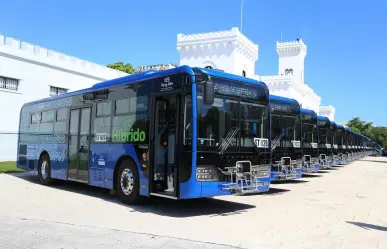 Conoce las nuevas rutas de transporte público en Mérida: ¡gratis la primera semana!