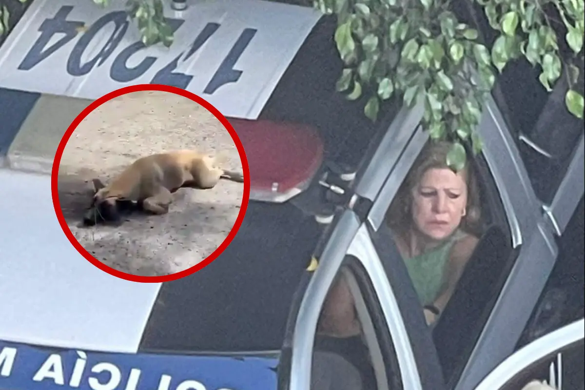 Este lamentable suceso pone de relieve la necesidad de una mayor educación y sensibilización sobre el trato hacia los animales. Foto: Especial.