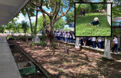 Indignación por un pleito entre dos alumnas del COBAY Xoclán (VIDEO)