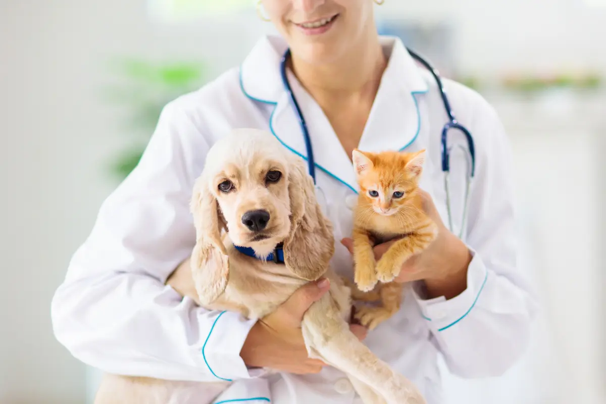 Veterinaria con perrito y gatito. Foto: Canva