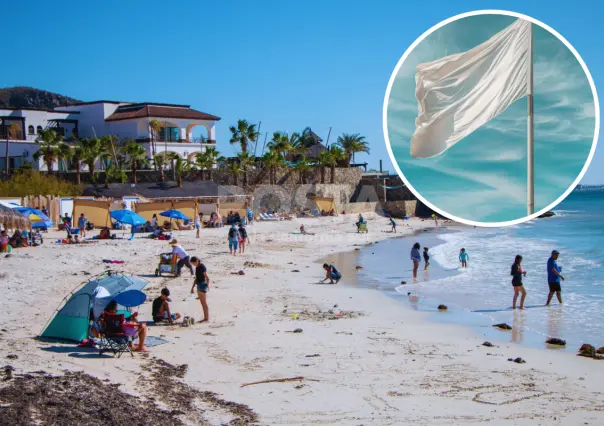 ¡Cuidado con las Aguas Malas! Cómo prevenir y qué hacer en caso de una picadura