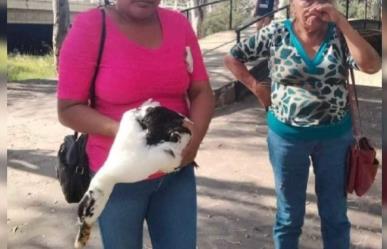 ¡Se roban los patos! Mujer se estaba llevando patos del Parque Guadiana