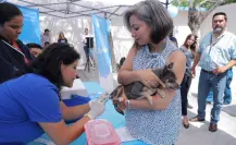 Hoy vacuna antirrábica gratuita para perros y gatos en Nuevo León