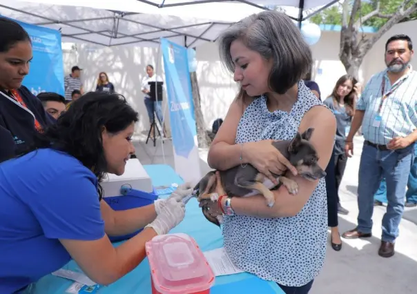 Hoy vacuna antirrábica gratuita para perros y gatos en Nuevo León