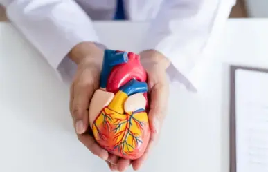 Día Mundial del Corazón: Medidas preventivas a enfermedades cardivasculares