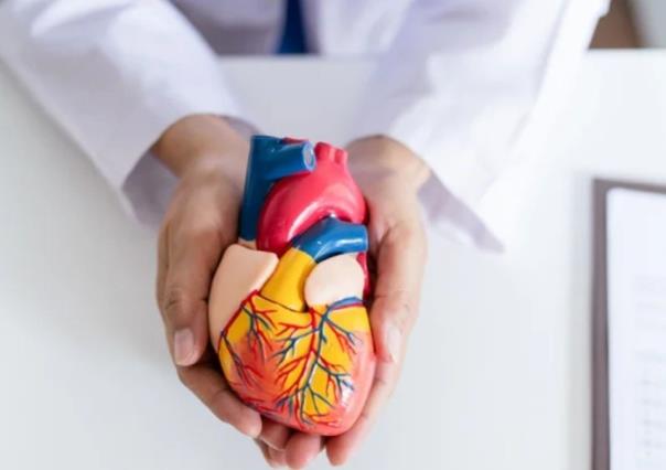 Día Mundial del Corazón: Medidas preventivas a enfermedades cardivasculares