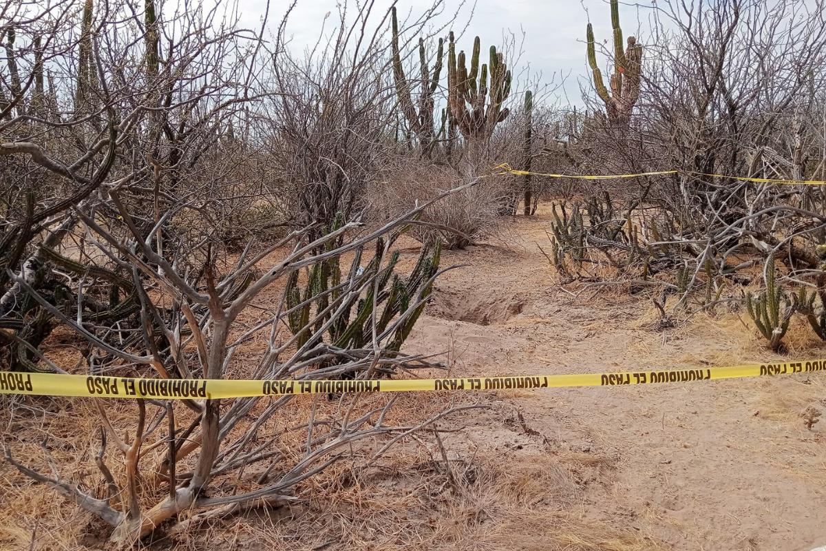 4 fosas clandestinas localizadas. Foto: Colectivo Búsqueda X La Paz