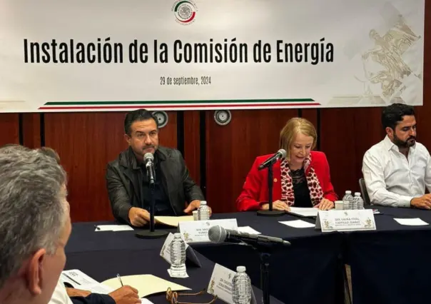 Yunes Márquez gestionará revisión de tarifas de luz al asumir en el Senado