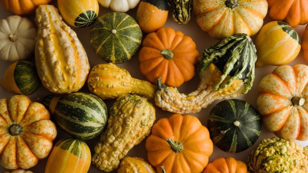 La calabaza en otoño y sus beneficios para la salud