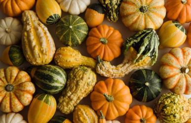 La calabaza en otoño y sus beneficios para la salud