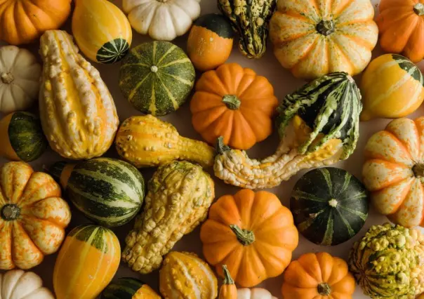 La calabaza en otoño y sus beneficios para la salud