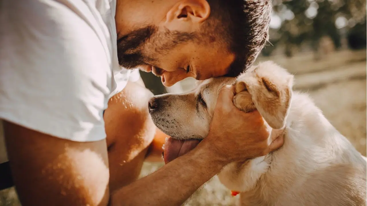 ¿Cómo determinar el peso ideal en perros? Según su tamaño y nivel de actividad