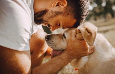 ¿Cómo determinar el peso ideal en perros? Según su tamaño y nivel de actividad