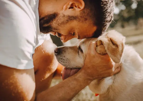 ¿Cómo determinar el peso ideal en perros? Según su tamaño y nivel de actividad