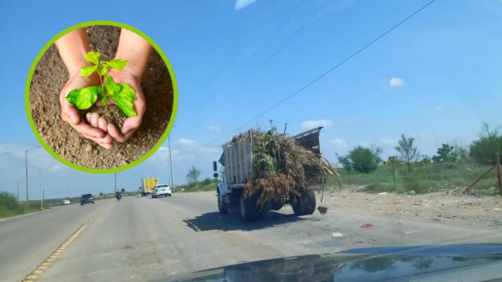 Acuña: Iniciativas de ecología urbana para una ciudad más limpia