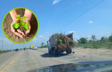 Acuña: Iniciativas de ecología urbana para una ciudad más limpia