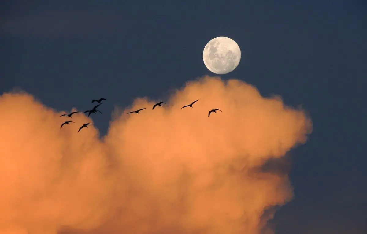 Una nueva mini luna permanecerá por dos meses cerca de la Tierra. Foto: Jrperes / Pixabay