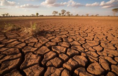 Presa Falcón al 10 por ciento; en riesgo 260 mil hectáreas de cultivos