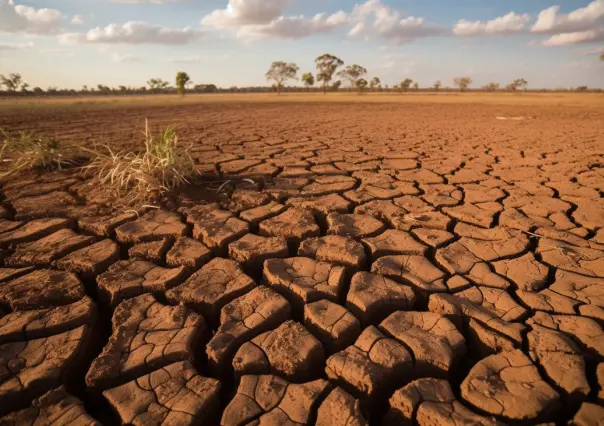 Presa Falcón al 10 por ciento; en riesgo 260 mil hectáreas de cultivos