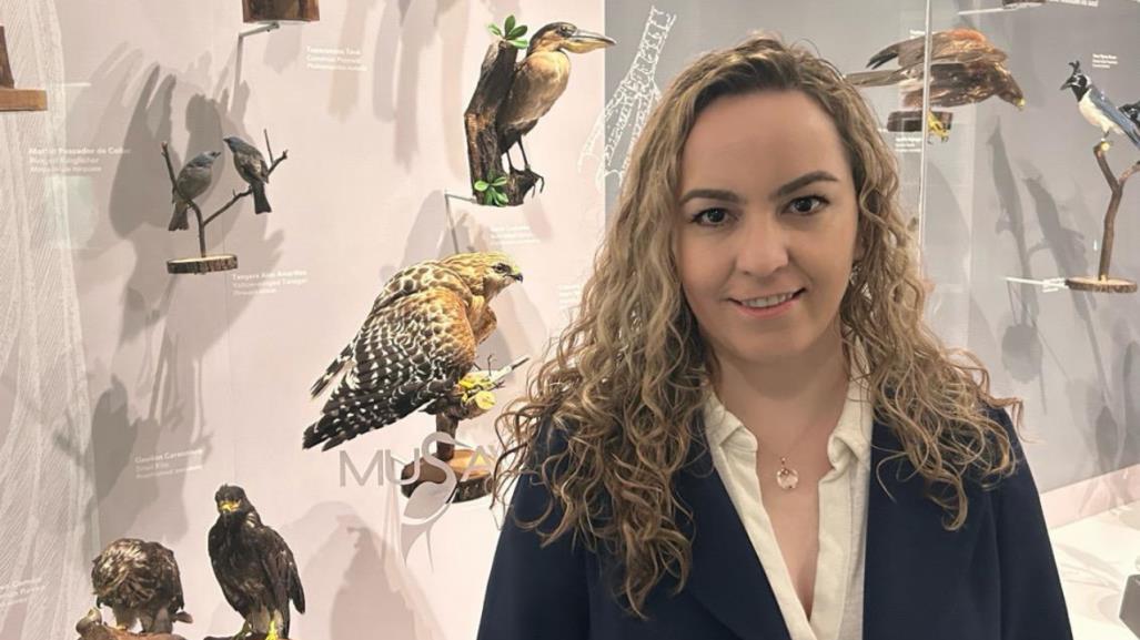 Descubre en octubre la magia de las Aves Migratorias en Saltillo 