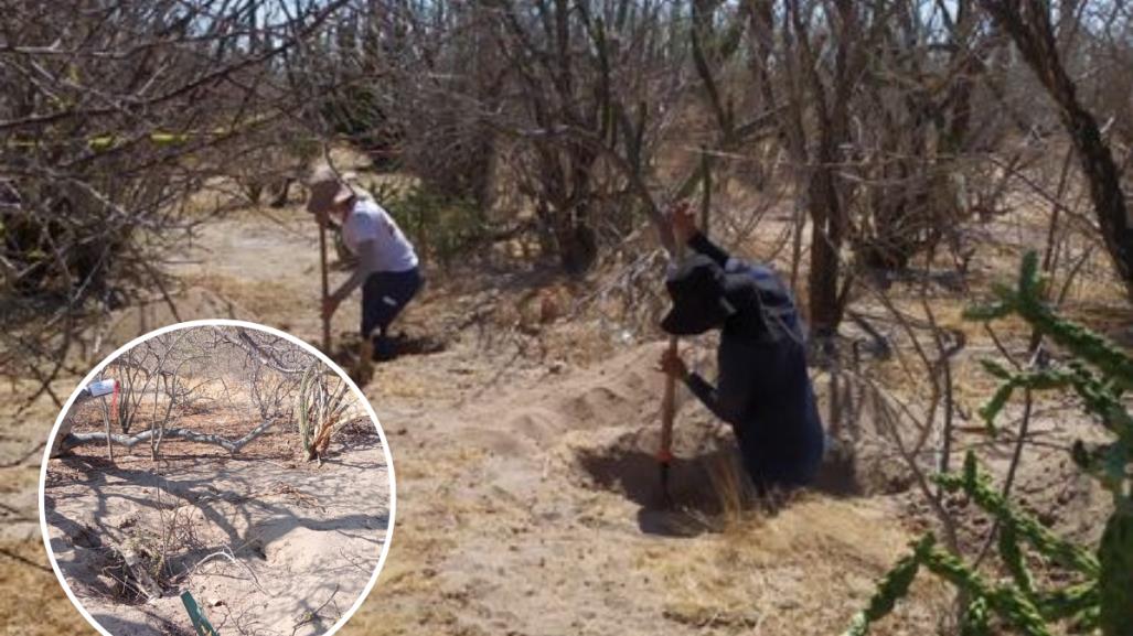 Hallan 5 osamentas humanas en 4 fosas clandestinas en La Paz