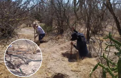 Hallan 5 osamentas humanas en 4 fosas clandestinas en La Paz