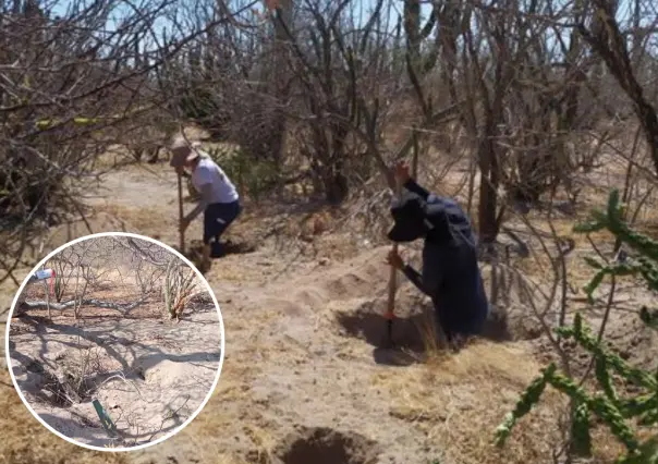 Hallan 5 osamentas humanas en 4 fosas clandestinas en La Paz