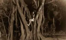 Leyenda de la Xtabay, belleza y peligro en las noches yucatecas