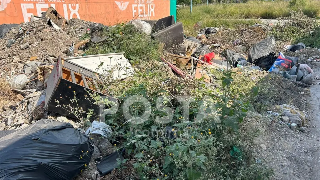 Convierten callejón en basurero en la colonia San Francisco