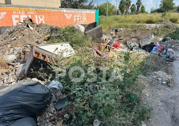 Convierten callejón en basurero en la colonia San Francisco