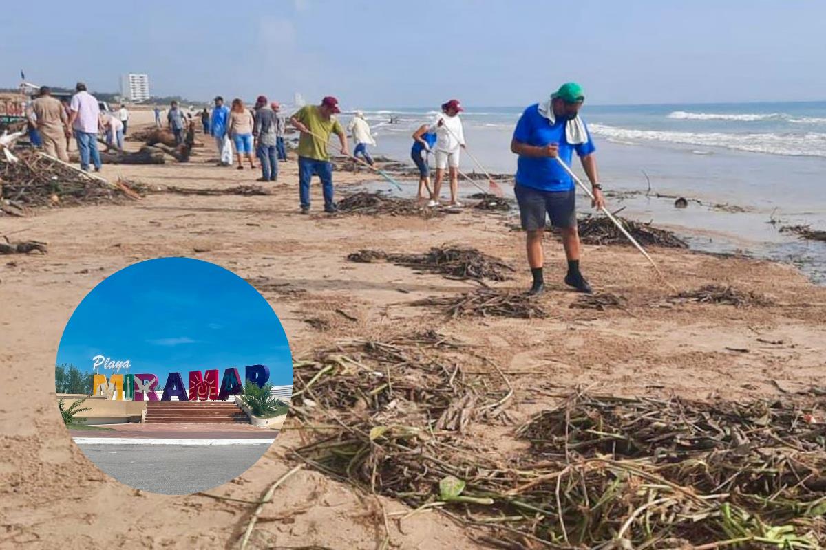 Jornada de limpieza en playa Miramar. Foto: Axel Hassel