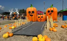 The Pumpkin Dash llega a Monterrey por Halloween y esto es lo que debes saber
