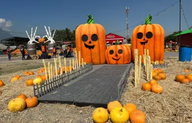 The Pumpkin Dash llega a Monterrey por Halloween y esto es lo que debes saber