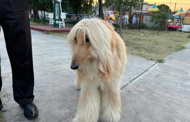 Bendicen a mascotas en la Parroquia San Francisco de Asís en Monterrey