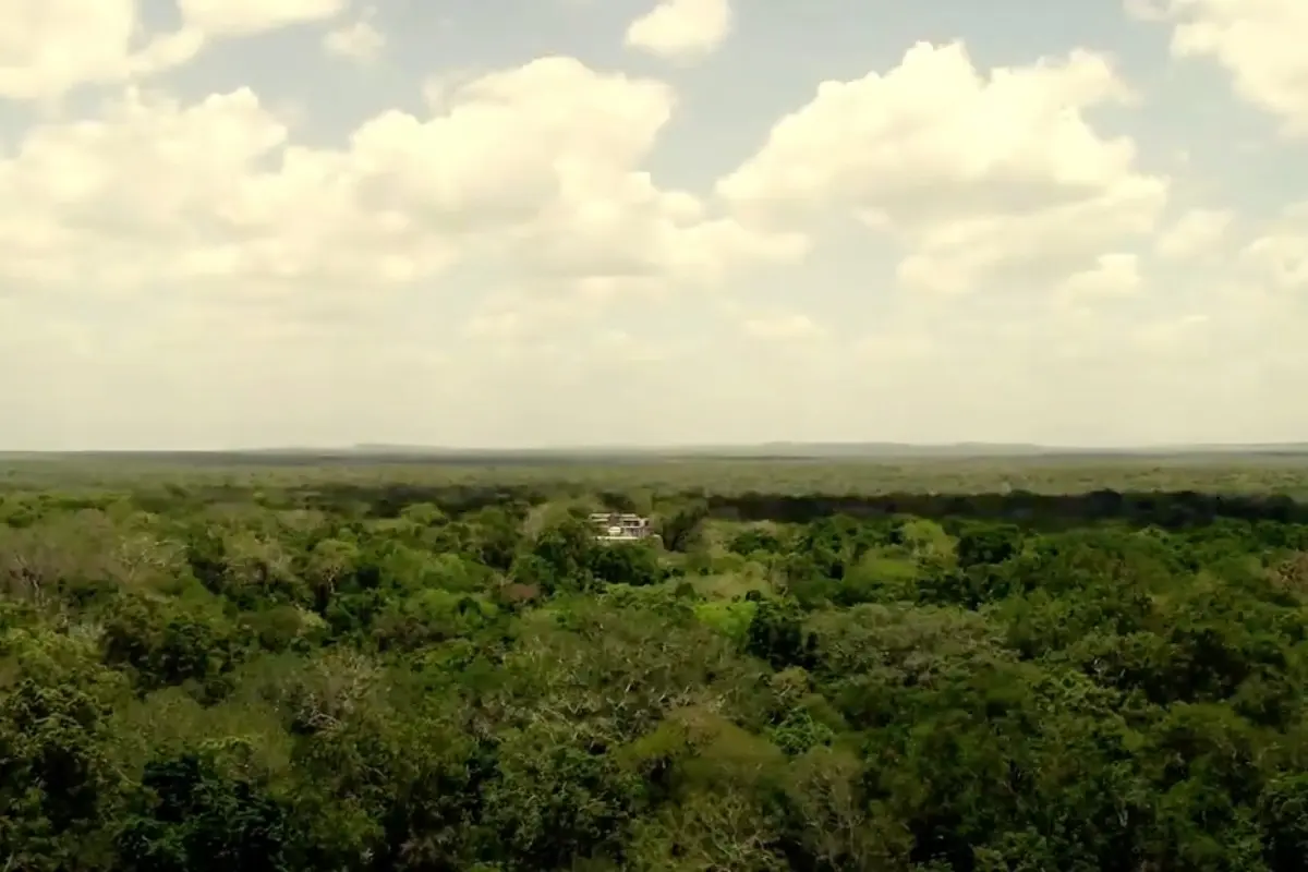 Selva de Campeche. Foto: INAH