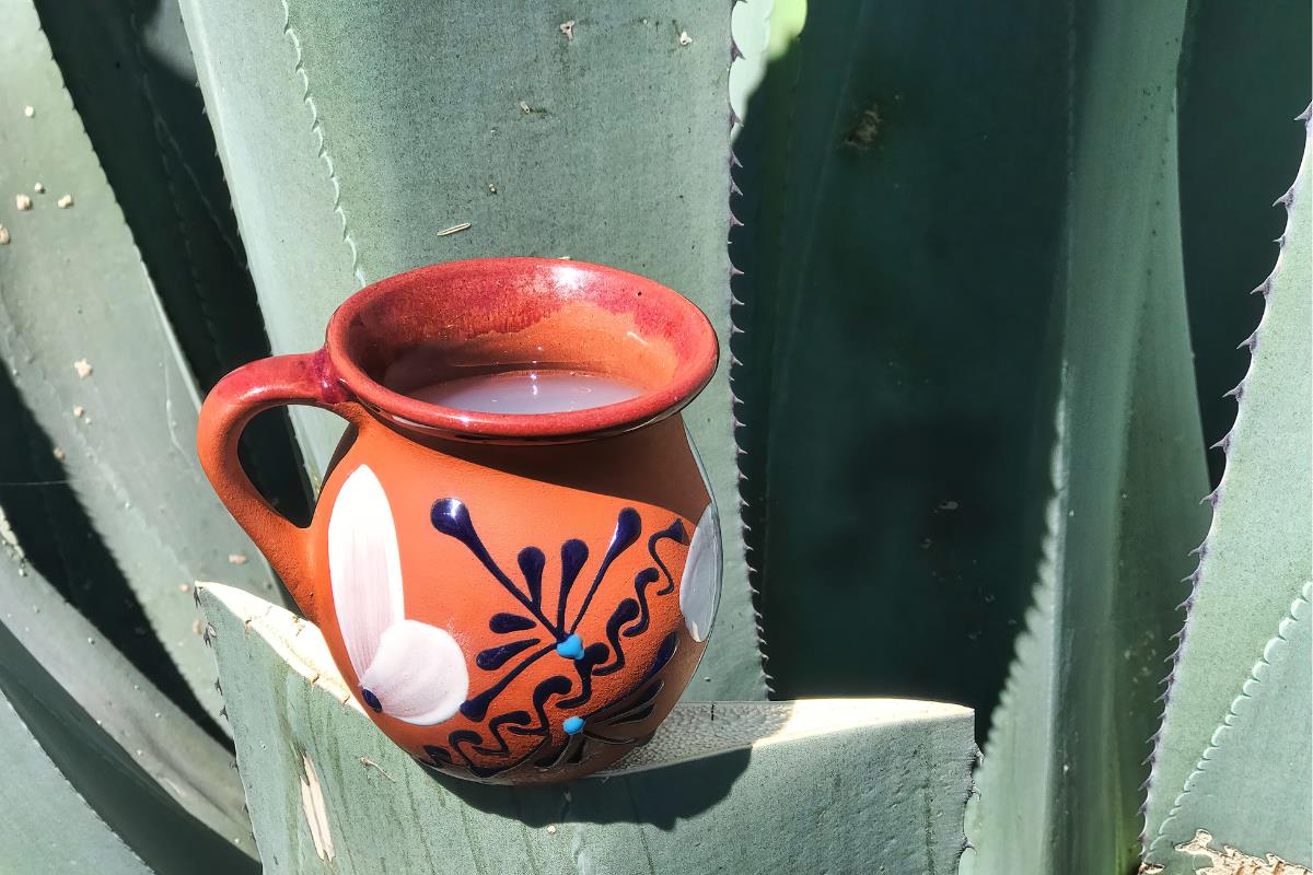 Pulque la bebida de los dioses. Foto: Juanjo Menta