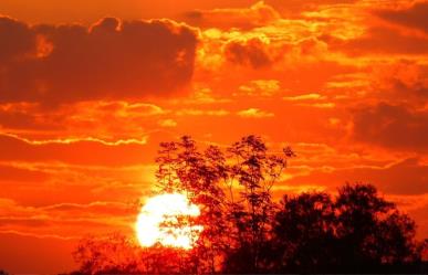Se esperan altas temperaturas para el fin de semana en Baja California Sur