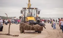 Todos a limpiar Miramar logró reunir a más de dos mil voluntarios