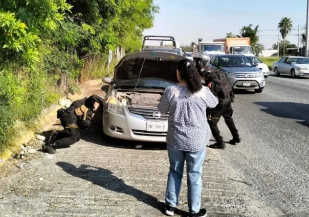 Inesperado rescate: Gato atrapado en coche sorprendió en San Nicolás