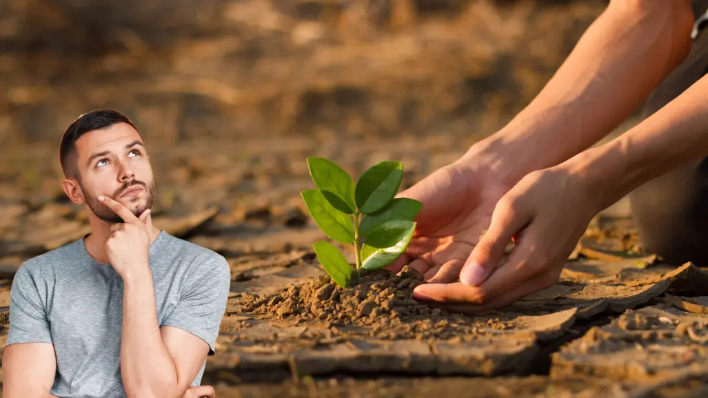 La lucha contra el cambio climático: acciones para salvar nuestro planeta