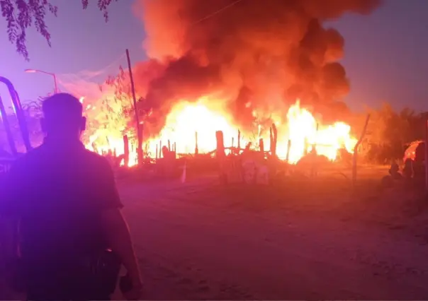 Incendio en Los Cabos: ¿Cuál fue la causa, según expertos?