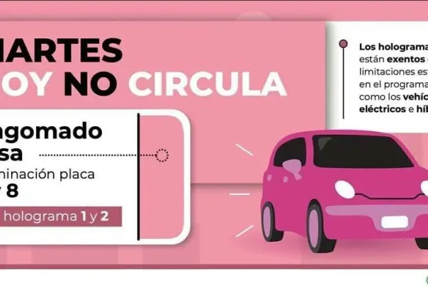 Hoy no circula 8 de octubre: Evita multas, estos son los autos que no circulan