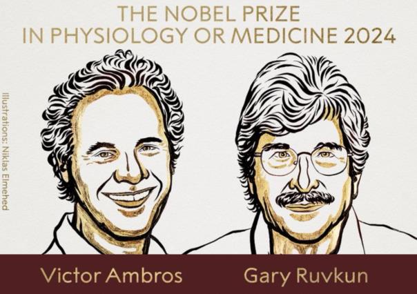 Nobel de Medicina: ¿Quiénes son Victor Ambros y Gary Rubkun, los ganadores?