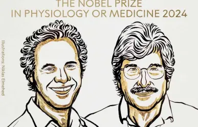 Premio Nobel de Medicina: Victor Ambros y Gary Ruvkun por desvelar el microARN