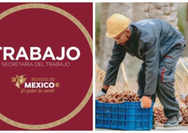 Fomento Cooperativo para el Bienestar: ¿Cómo es el programa del apoyo en Edomex?
