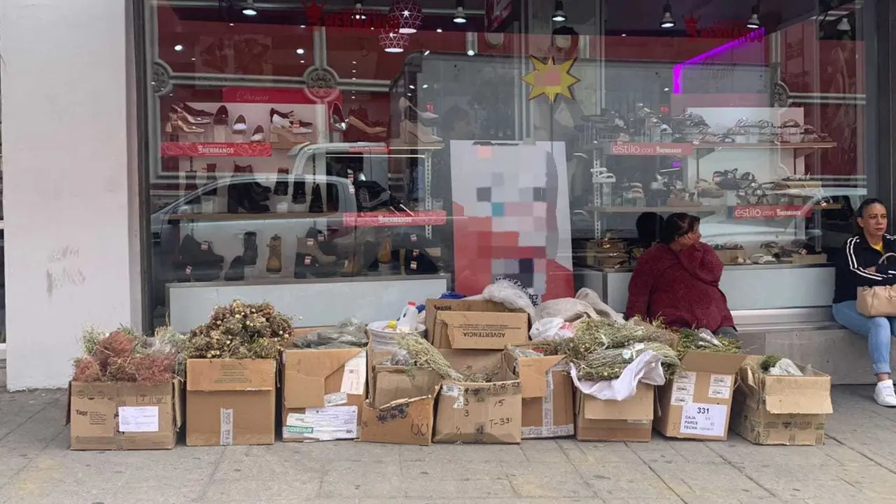 La herbolaria mexicana es una tradición que ha pasado de generación tras generación aquí te decimos, las que más se utilizan. Foto: Brenda García.