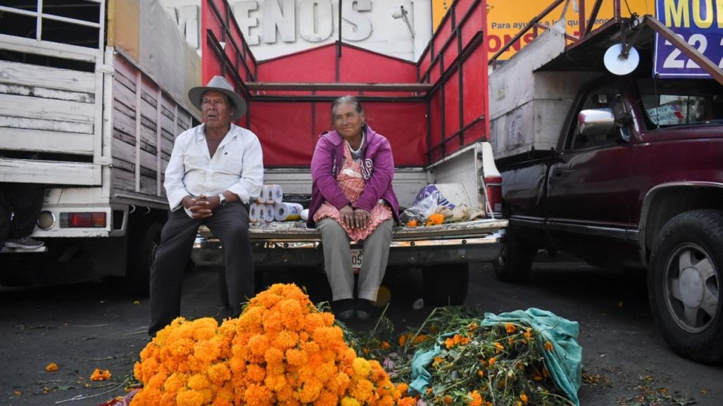 Flor de muerto peligra por torrencial que arrasa el cempasúchil en Puebla