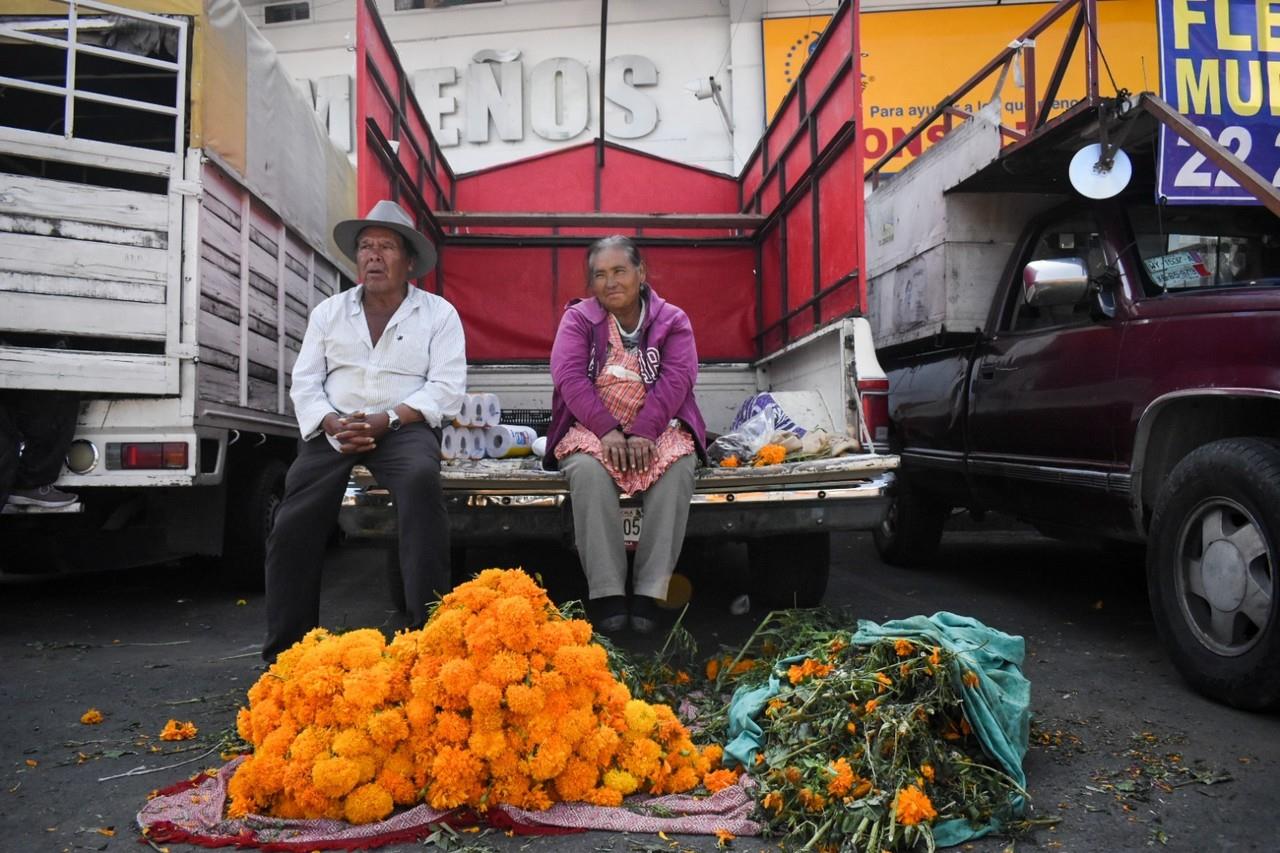 El estado de Puebla tiene la mayor producción de esta flor. Foto: Carlos Moreno.